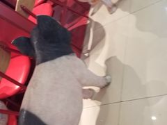 -猪角·闽南猪脚饭(上梅林店)