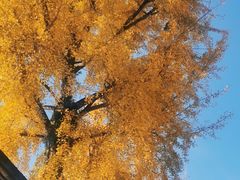-蒋氏故居