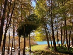 -虎丘湿地公园
