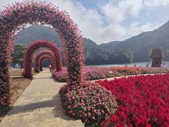 -广州市石门国家森林公园