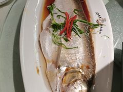 白水鱼-徽珍源(龙茗路店)