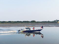 -大湾区中央湿地公园