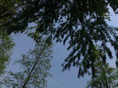 -尚贤河湿地