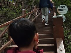 -大岭沟猕猴桃谷风景区