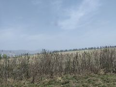 -敕勒川草原文化旅游区