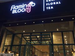 门面-Flamingo Bloom(TST /尖沙咀店)