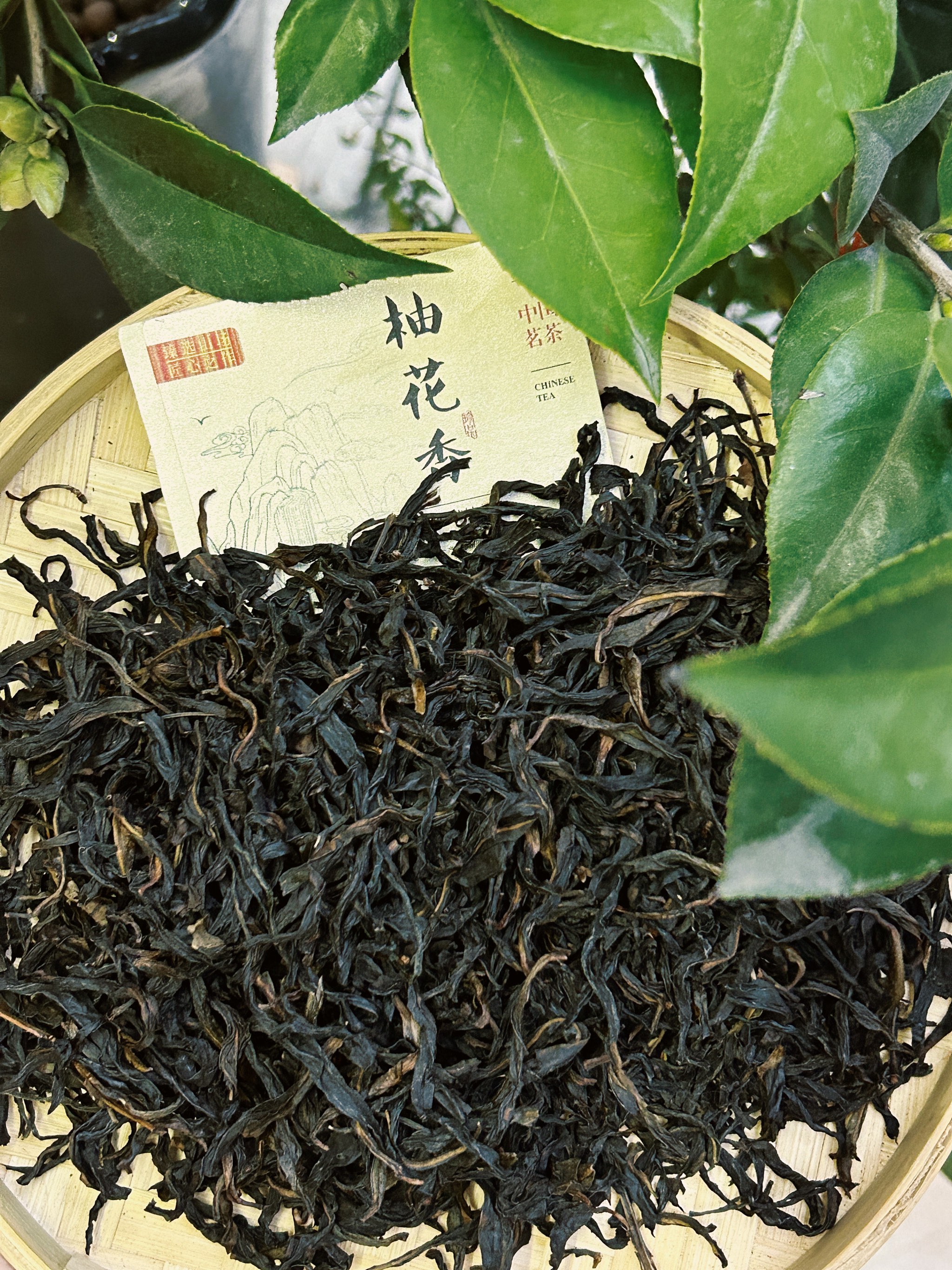 汕头茶叶批发市场（汕头知名的品牌茶叶店） 汕头茶叶批发市场（汕头着名
的品牌茶叶店）《汕头茶叶批发市场在哪里》 茶叶资讯