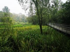 -西湖风景区-江洋畈生态公园