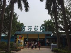 -百万葵园