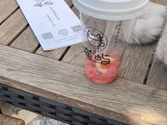 -喵屿·大理花园猫咖
