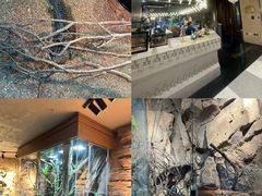 -帕帕拉兹宠物(亚洲旗舰店)