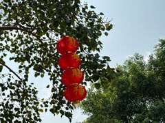 -悦城龙母祖庙