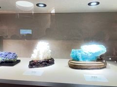 -陕西自然博物馆