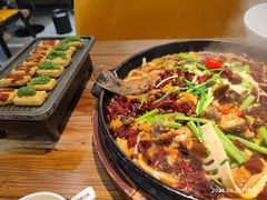 -老板恋上鱼(高新万达店)