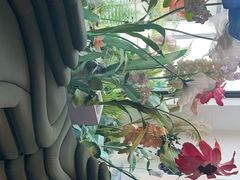 -宝盖头家居生活馆