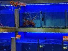 -东江海鲜大排档·潮汕菜·砂锅粥