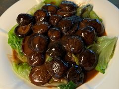 -新合益乡村农庄