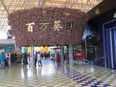 -百万葵园