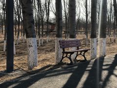 -东郊湿地公园