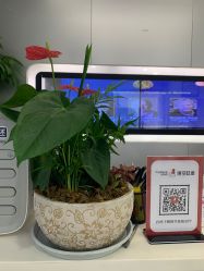 -悟空祛痘·亚健康皮肤管理中心