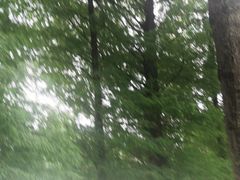 -喜茶(广州北京路惠福东店)