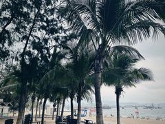 -玫瑰海岸文化旅游度假区