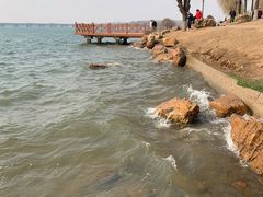 -丁香湖公园