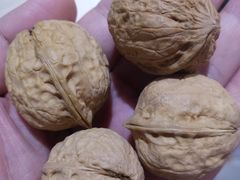 -百果园(领馆国际城店)