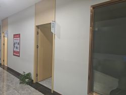-碧莲盛·不剃发植发