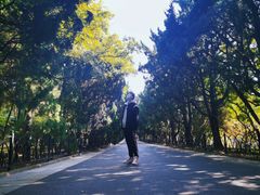 -八大关景区