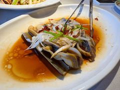 -开海·红岛海鲜虾水饺(石老人店)