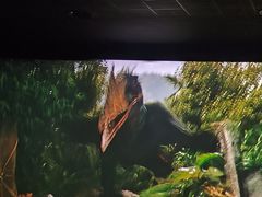 -AMG海上明珠影城(上海环球港RealDCinema店)