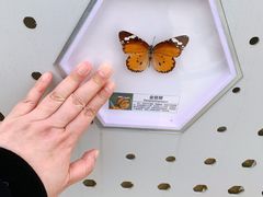 -明蜀王陵(地铁站)