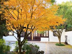 -上海醉白池公园