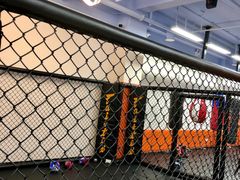 -体育科代表搏击散打体能训练馆(陶然亭店)