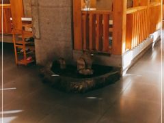 -崔英子朝韩民俗风味烤肉烤串城(大东店)
