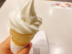 -麦当劳(轻轨曹杨路店)