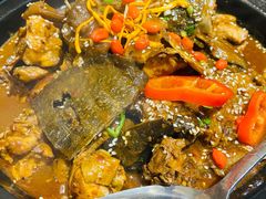 生态甲鱼-火焰金龟甲(汉阳江滩旗舰店)