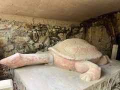 -上海佘山国家森林公园天马山园