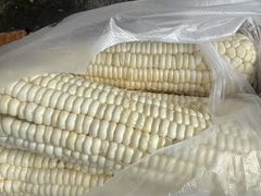 -丁香湖公园