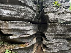 -梭布垭石林景区