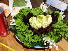 -青瓷火锅料理(西单大悦城店)