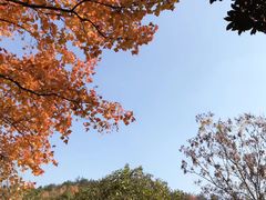 -峙山公园