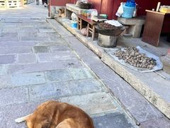 -蒋氏故居