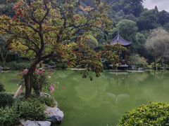 -云溪植物园