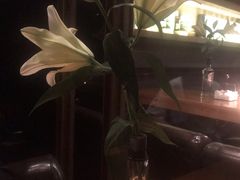 -麥坊俱樂部Maltfun Club