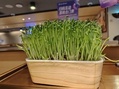 -海底捞火锅(西单店)