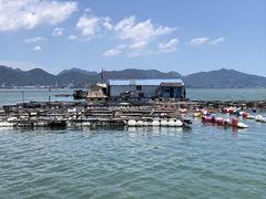 -罗源湾8号渔排