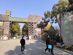 -溱湖国家湿地公园