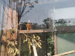 -上方山森林动物世界